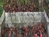 image of grave number 329286